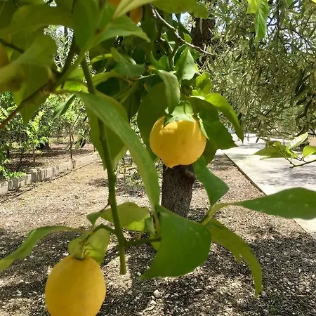 Acqua E Limone Holiday home Mattinata