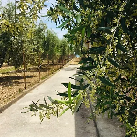 Acqua E Limone Holiday home *